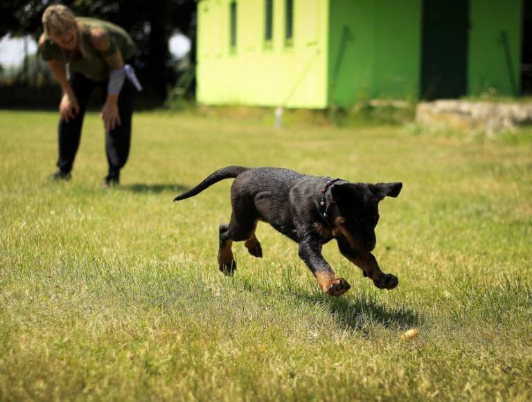 action adorable animal 264005 840x636