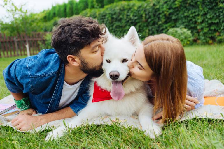 adobestock 219769526