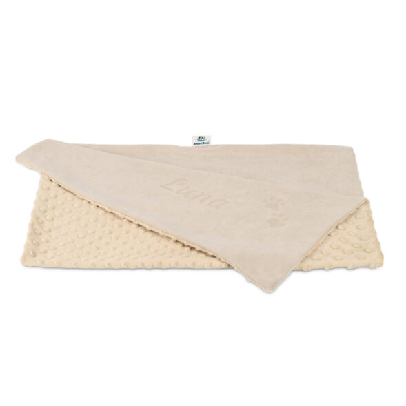 IMG_0266s_PM img 0266s pm