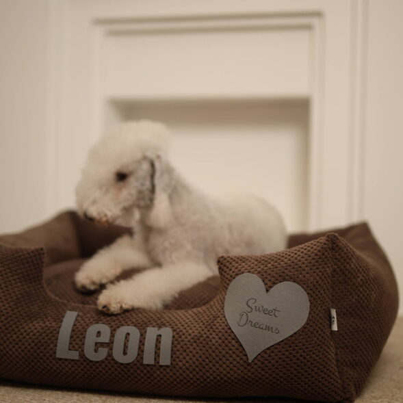Legowisko dla psa Leon – brązowe z sercem "Sweet Dreams" Biały piesek leżący w brązowym legowisku z imieniem Leon i napisem "Sweet Dreams"