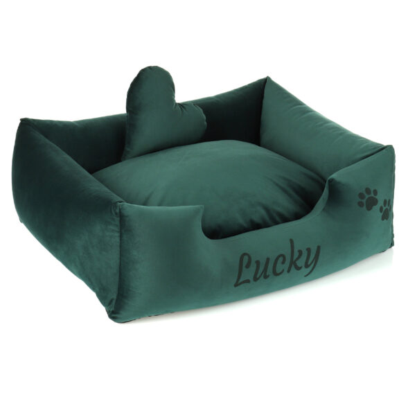 IMG_0209s_PM img 0209s pm